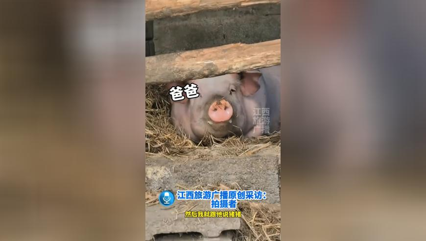 K总官宣与女友结婚,香港资料特马王,创造力策略实施推广_创意版V4.6