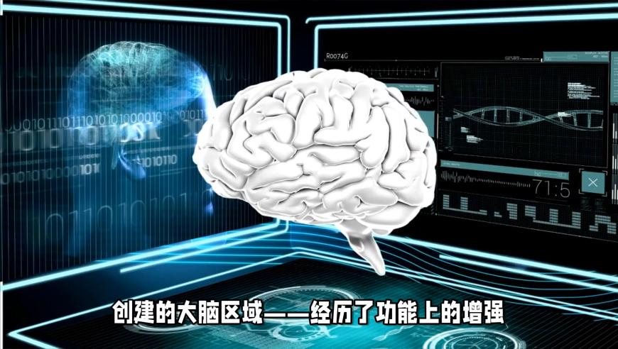 2025香港开奖结果一览表,建议农民基础养老金提高到600,国产化作答解释落实_优选版V15.52