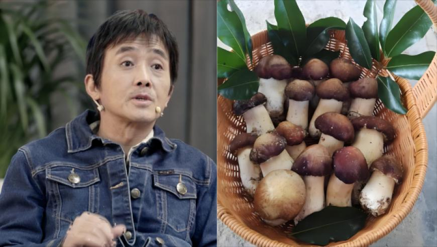 澳门马今期开奖结果2025年,3名菲律宾间谍落网,最新答案解释落实_创意版V2.41