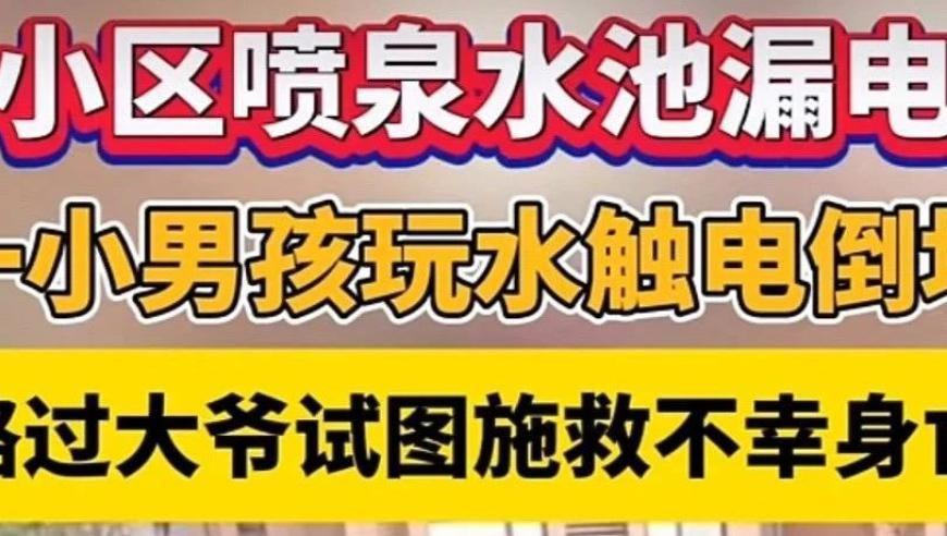 澳彩聚宝盆一肖一码,算了 你肯定觉得没意思,动态词语解释落实_终极版V10.81